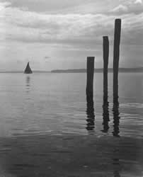 Seattle Camera Club from Kathy Muir