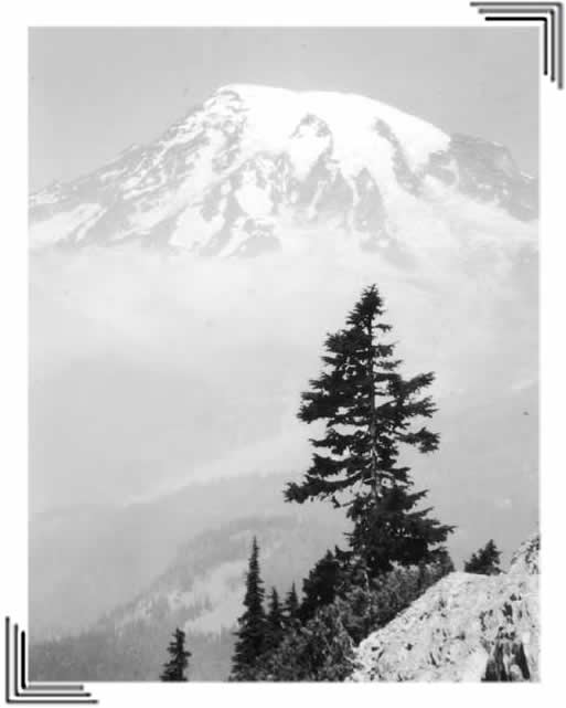 Seattle Camera Club from Kathy Muir